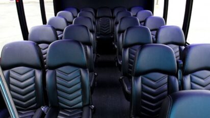 Mini Coach Bus