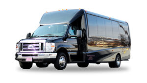 Mini Coach Bus